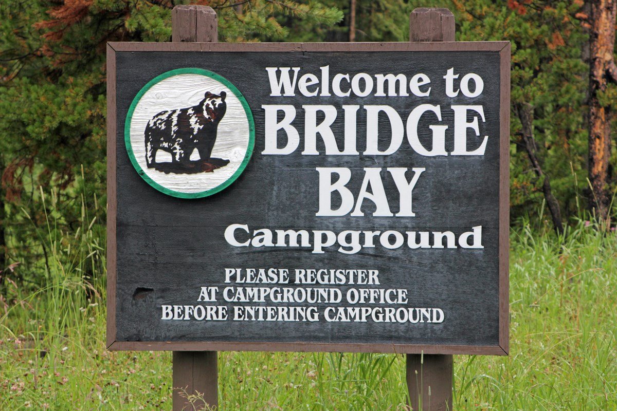 Bridge Bay Campground — Yellowstone National Park